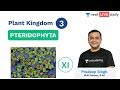 NEET: Plant Kingdom - Lecture 3 | Pteridophyta | Class 11 | Unacademy NEET | Pradeep Sir