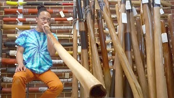 Jesse lethbridge didgeridoo  key of G   (web#4875)