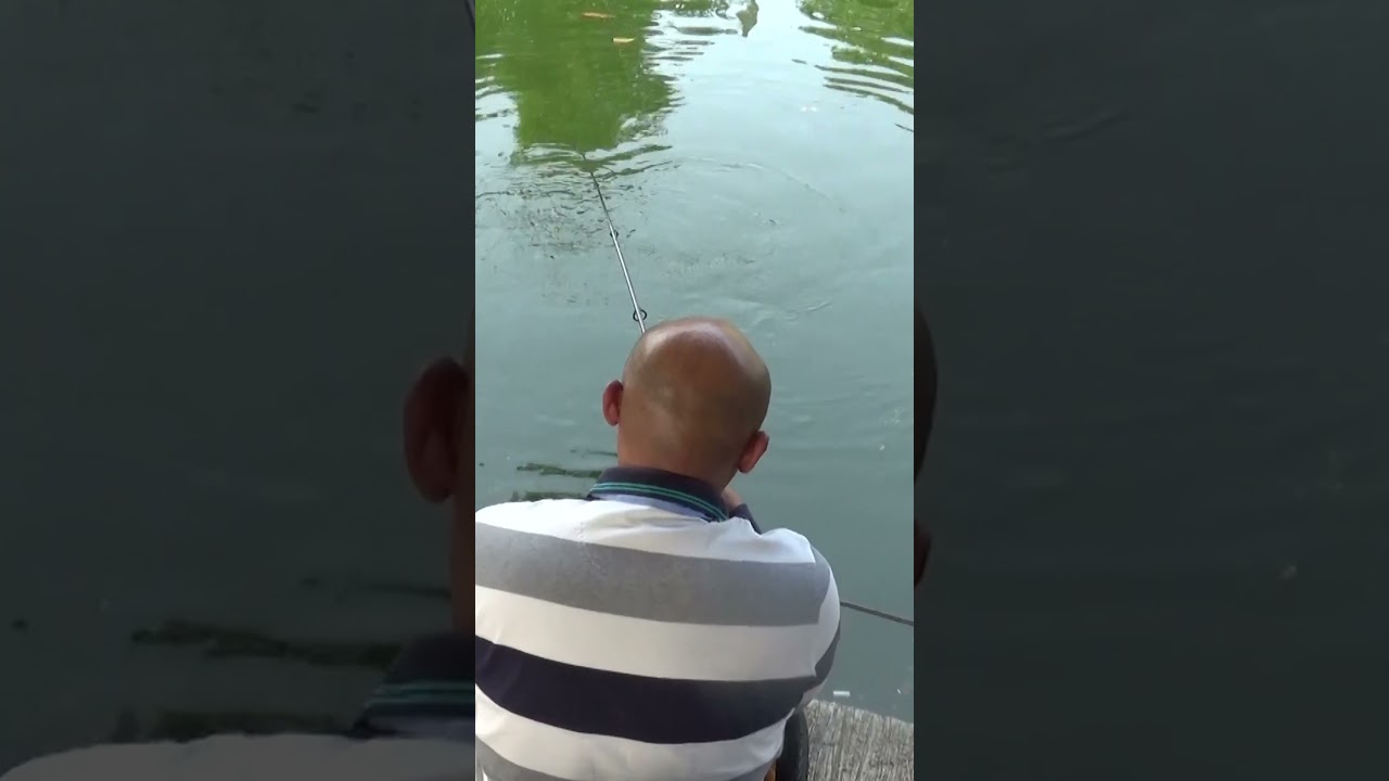 Narik Babon Besar Harus Sabar | H Bolang MMFC  