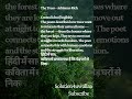 🔥#class10 |💥central idea💥 |the trees #shorts #shortsfeed |Important question |