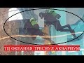 В Москве "треснул" аквариум на миллион литров в ТЦ Океания