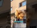 La vérité sur votre clim !⚠️😱