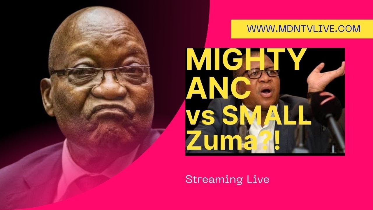 Is ANC Scared of Jacob Zuma? All You Need to Know