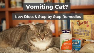 Cats Vomiting? I Tried 3 Diets To Stop The Hairballs