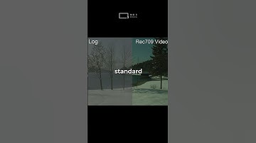 LOG vs RAW footage! What’s the difference? #shorts #videography #filmmaking