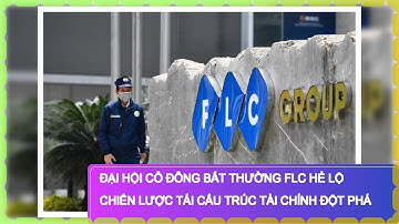 Đại Hội Cổ Đông Bất Thường FLC hé lộ chiến lược tái cấu trúc tài chính đột phá