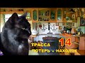 ТРАССА ПОТЕРЬ и НАХОДОК (аудиокнига) | детективный рассказ глава 14.