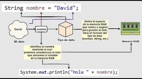 Domina Java: Variables y Tipos de Datos en Java