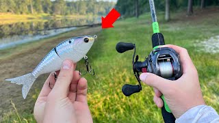 This $25 Glidebait is Actually Worth It
