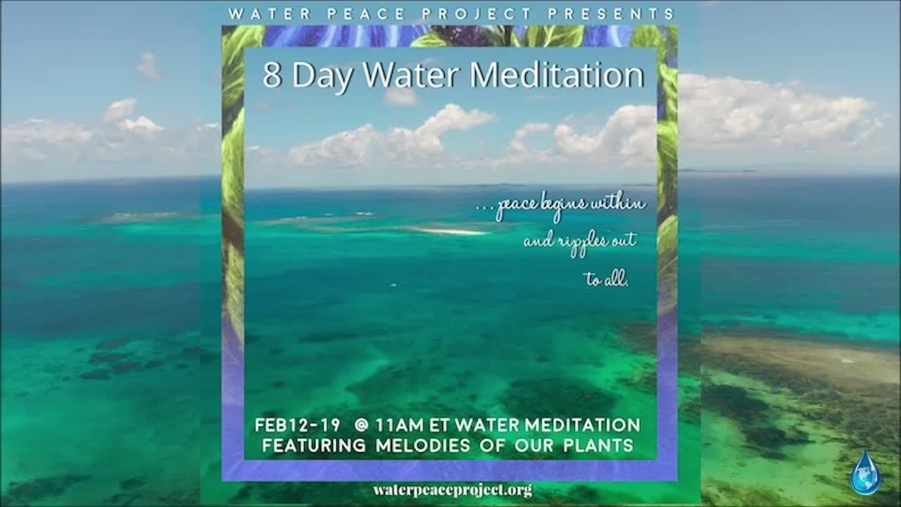FEB 16 Day 5 of 8 Day Water Meditation & Consciousness Experiment Featuring Plant Music -2026