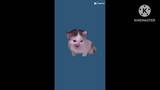 Greman cat