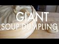 DIY Giant Soup Dumpling Short
