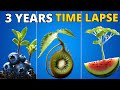 Growing plants in 4k  time lapse compilation 3 years