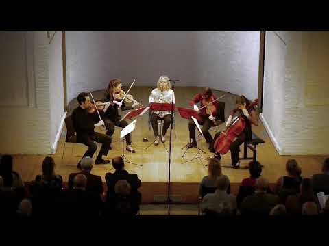 Brahms - Clarinet quintet opus 115 - Allegro