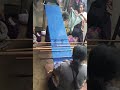 Traditional Weaving in Zinacantán 🇲🇽 | Full Demonstration #travel #mexicotravel #culturaltravel