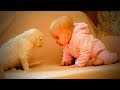 Funny Cute Puppies 😜🐶 Funny Dogs (Part 1) [Funny Pets]