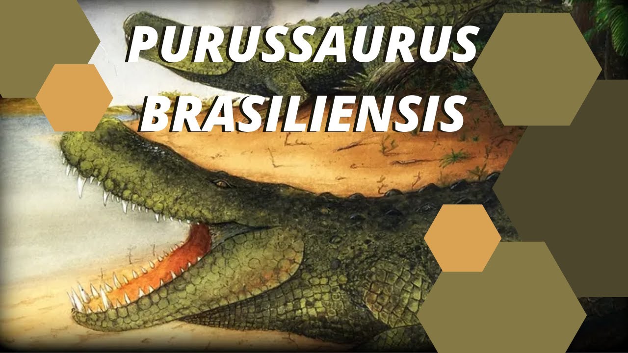 Museu no Acre abriga réplica do Purussaurus e até caixa que só será aberta  em 2120 - Portal Amazônia