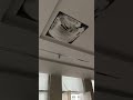@Bose DM3C 30 watt #interiordesign #speakershopping #audiosystem #bose #viralshortsvideo