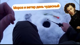 Удачная рыбалка в плохую погоду (оз.Торма 08.01.2021)