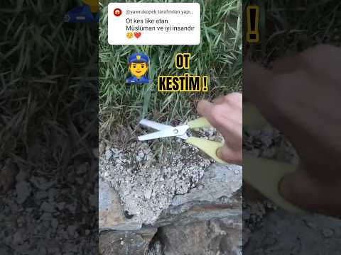 Ot kestim! 😄 sıradaki görev ne olsun? #keşfet #keşfetedüş #ytdayibenionecikarnolur