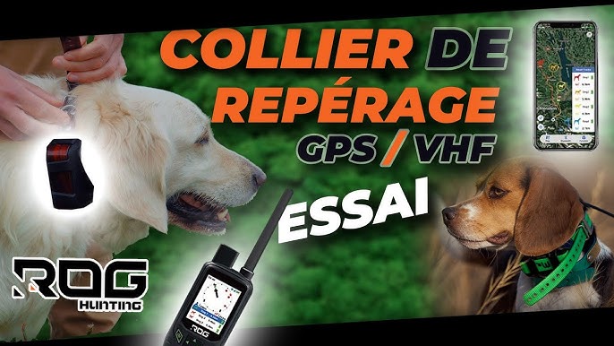 Le traceur Tractive GPS pour chiens - Edition Chasseur