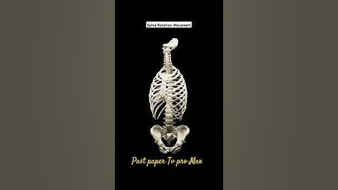 Spine Rotation Movement☠️👀 #medical #biology #science #skeleton #spine #music #animation #biology