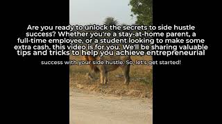 Entrepreneur Mastery Hub