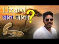"Lizard মানে কী? "Spoken English শেখা গিরগিটি ধরে!"😊