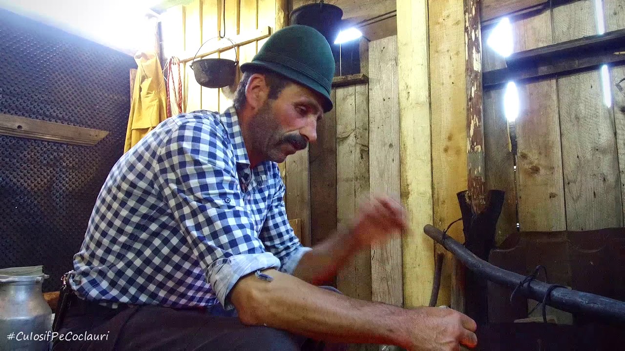 Bulz ciobănesc pe jar - la a stâna baciului Gheorghe Gârbacea din com. FUNDATA, jud. Brasov viata la tara forum