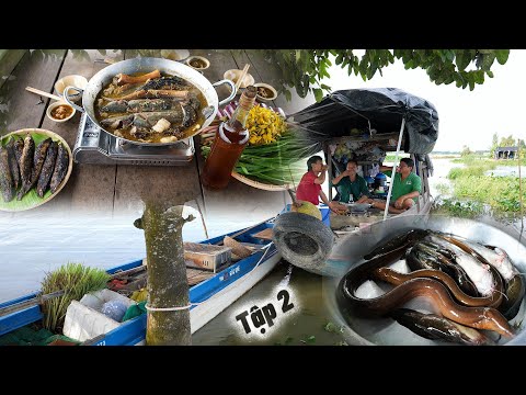 cuộc sống " Săn B.ắt Mùa Nước Nổi " năm 2025 - Tập 2 | Gấc Quê