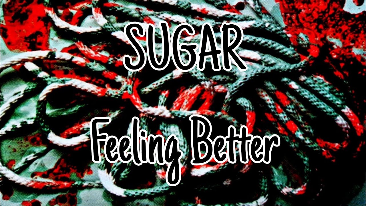 SUGAR Feeling Better Lyric Video YouTube SUGAR Feeling Better Lyric Video YouTube