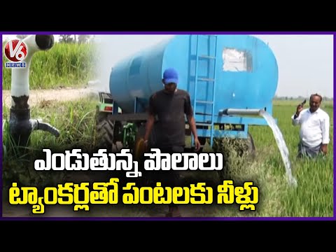 Farmers Facing Problems With Drying Of Fields Due To Lack Of Water | Nizamabad | V6 News - V6NEWSTELUGU