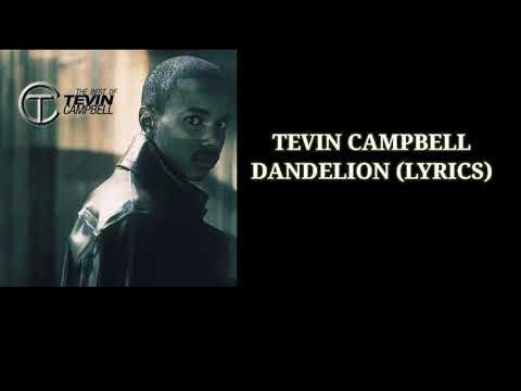 TEVIN CAMPBELL - DANDELION (LYRICS)