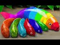 Stop Motion Satisfying Colorful Koi Fish Hunting Rainbow Eel Electric Catfish Carp Fishing Funny DIY