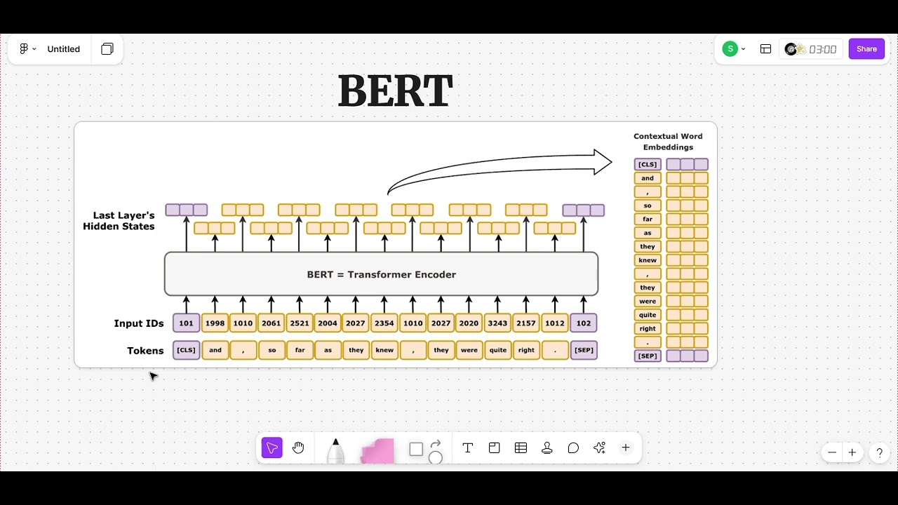 Bert - YouTube