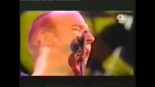 Watch Midge Ure Fallen Angel video