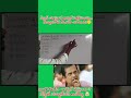 ఎగ్జామ్ హాల్ లో అందరికంటే 10 రెట్లు వేగంగా ఆన్సర్ చేసే సీక్రెట్..🤔