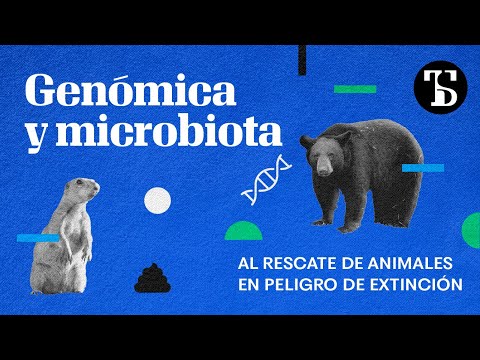 La genómica y microbiota al rescate de animales en peligro de extinción