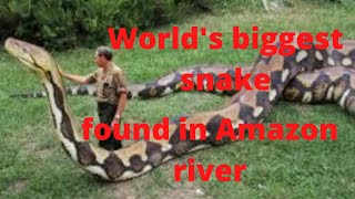 World's biggest snake found in Amazon river | snake - Giant anaconda Largest snake | Nature MRK