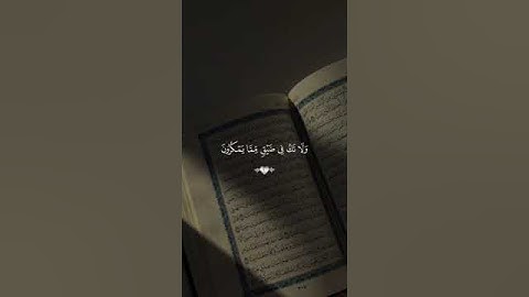 "واصبر وما صبرك إلا بالله" - تلاوة مؤثرة للقارئ فارس عباد من سورة النحل 🤎🥀