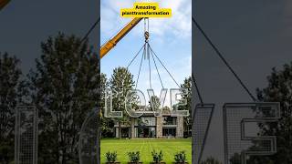 Amazing plant transformation 🌲♥️