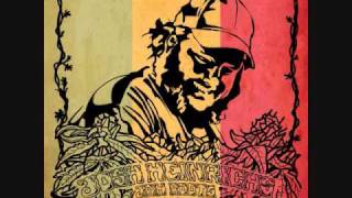 Josh Heinrichs "Wanting You" (Jah Roots) w/ lyrics chords