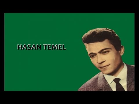 Hasan Temel - Fıkırdak Ayşem (Official Audio)