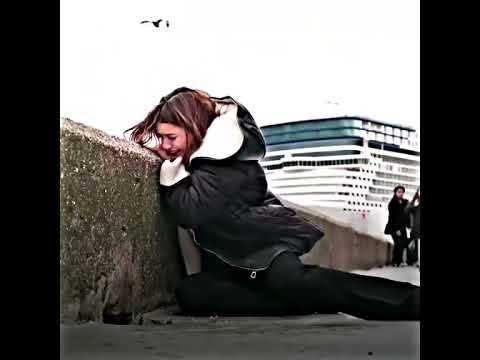 اتمنى انساك Yaliçapkını سيران فريد طائر الرفراف 