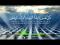 نعت از مرگ مشو غافل این چرخ زمان آخر بیرون از جسمت این روح و روان آخر بصدای قاری محمد بشیر مبشر