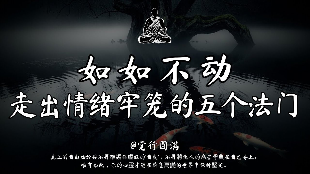 執我為苦，捨我得安；五法為道｜觉行圆满  #修行 #國學 #人生感悟 #治癒