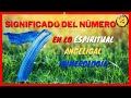 Cual es el significado del numero 7 en lo ESPIRITUAL | NUMEROLOGIA | ANGELICAL | BIBLIA | AMOR