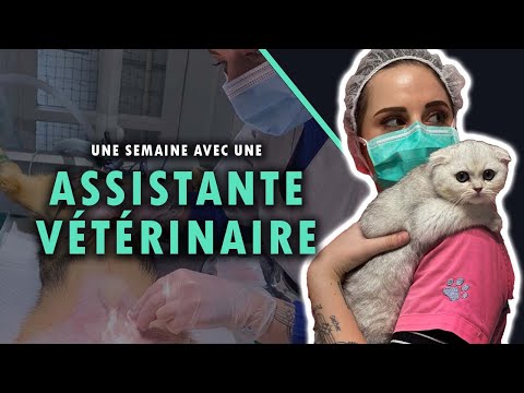 Video: Vet Tech Week: Viața ca o Zoo Tech part-time