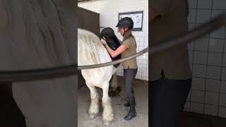 Deze pony en ik zijn niet de beste maten…  #bloopers #ponyfun #paardrijden #blind #humor #pony