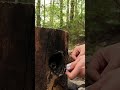 The girl found a unique place🏕 #camping #survival #bushcraft #outdoors